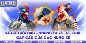 đá gà cựa dao