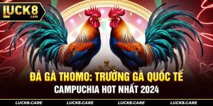 đá gà thomo