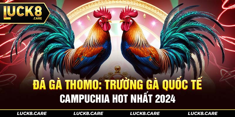 đá gà thomo
