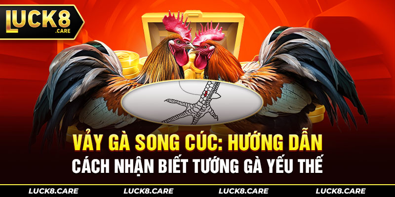 vảy gà song cúc