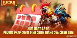xem ngày đá gà