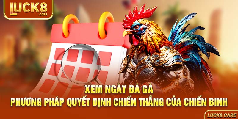 xem ngày đá gà