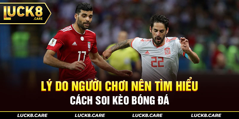 Lý do người chơi nên tìm hiểu cách soi kèo bóng đá