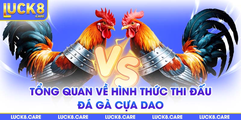 Tổng quan về hình thức thi đấu đá gà cựa dao