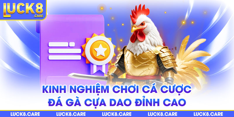 Kinh nghiệm chơi cá cược đá gà cựa dao đỉnh cao